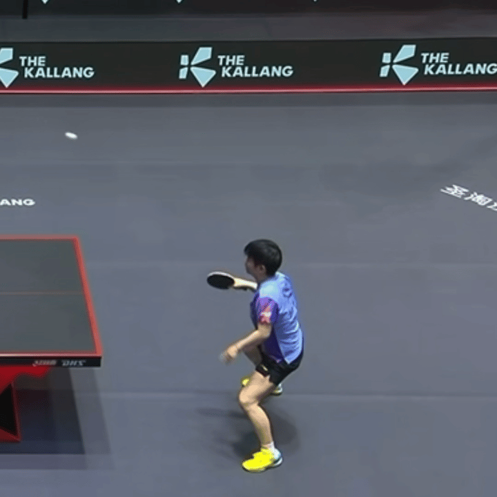 球不落地永不放弃，哈勉强捞一下 孙颖莎vs陈熠