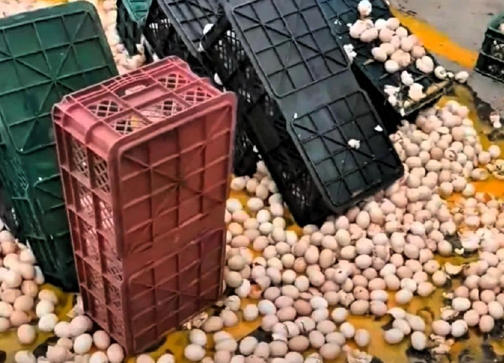 “活该她发财！”你敢信，就因为老板一句“不用赔”，这条新闻直接冲上热搜，引来了数