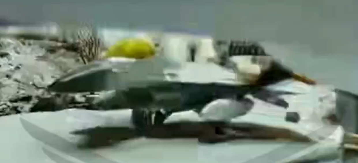 烽火问鼎计划俄乌局势新进展 一架乌克兰空军的F-16战斗机地面训练机（或高仿真度