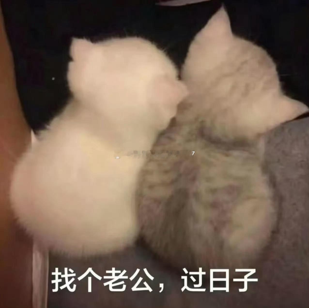 我俩无比和谐的相处模式起床了他带娃 我玩小手机和你们拉呱嘿嘿 ​​​