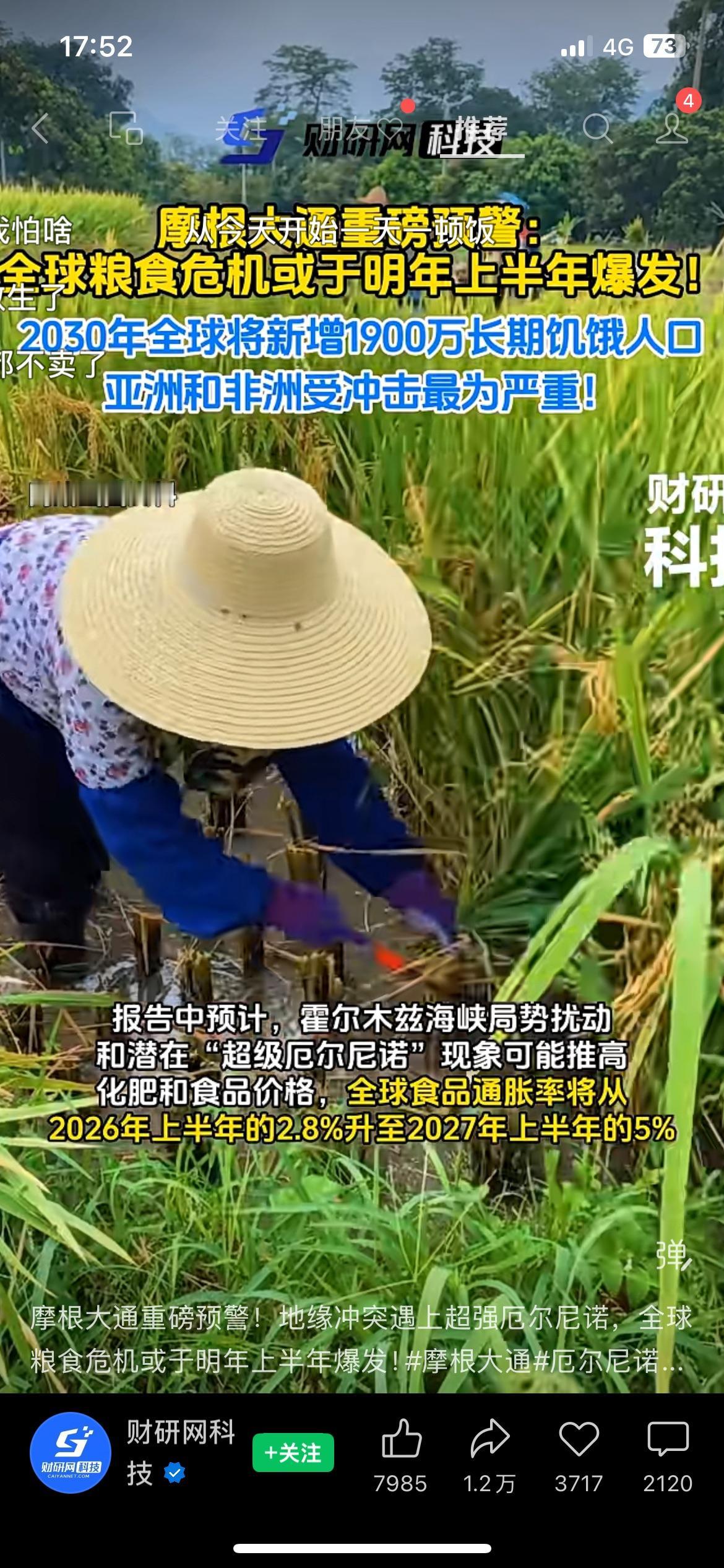 摩根大通发出预警，全球粮食危机风险正在上升
关注粮食市场的朋友注意，外资机构给出