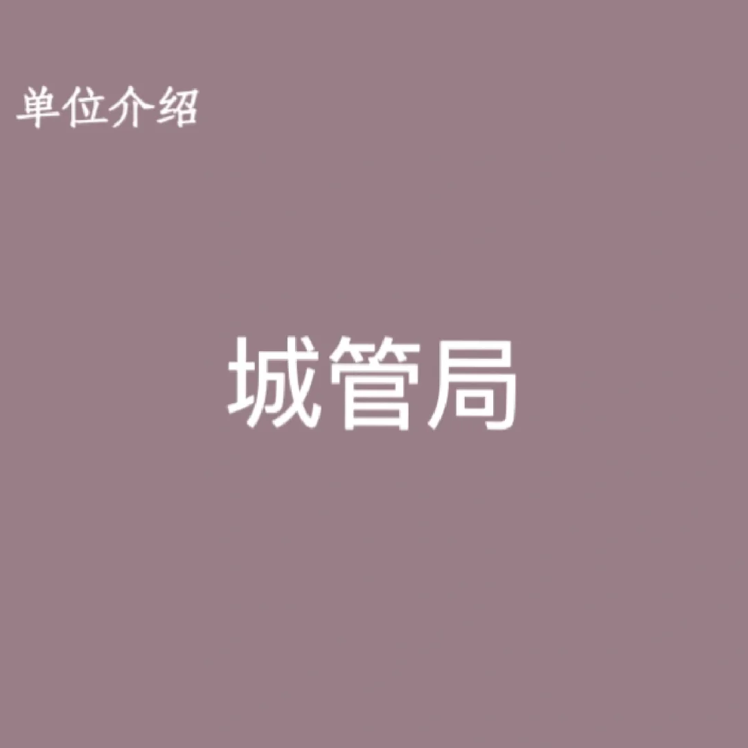 宝子们，这是城管局