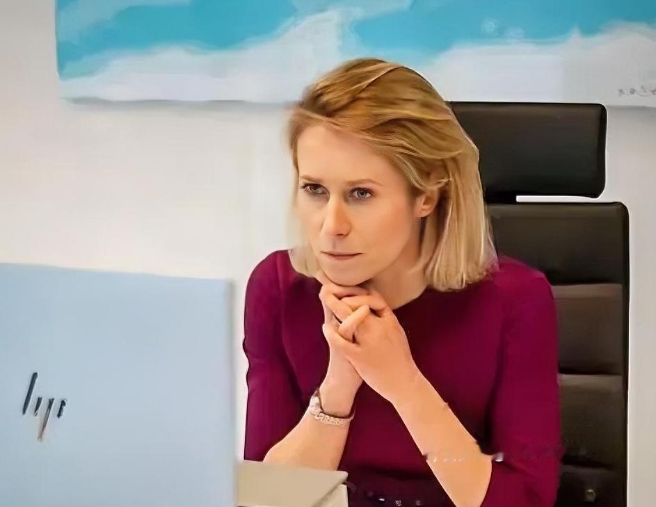 欧盟外长卡拉斯这双标操作属实拉满！对中国向来硬气十足，张口闭口“去风险”，联手美