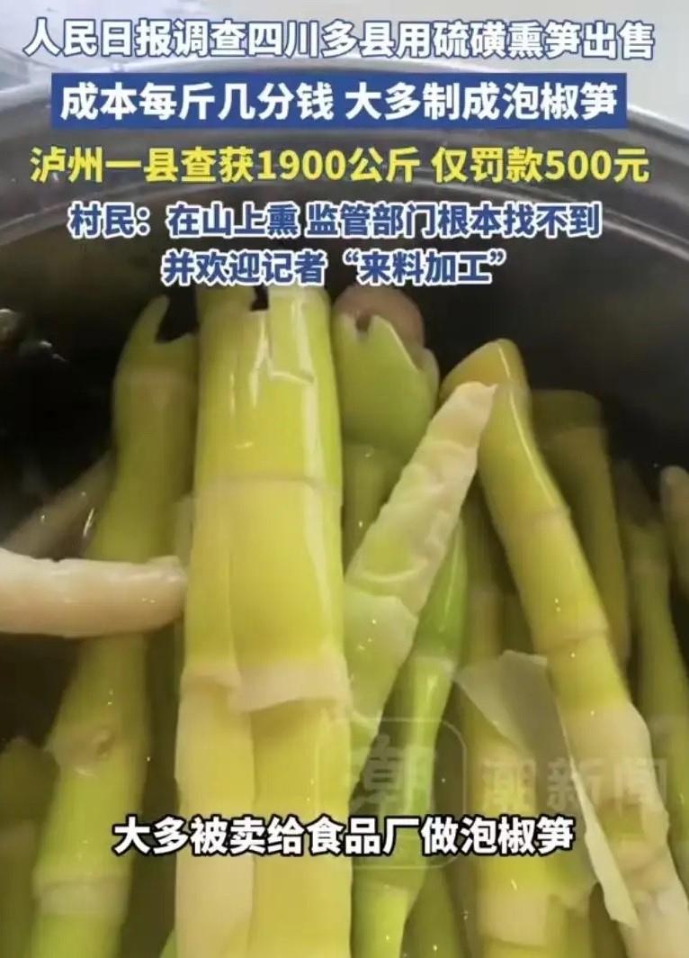 “上人民日报了！”四川，记者暗访发现，当地村民直接在山上用硫磺熏竹笋，熏过的竹笋