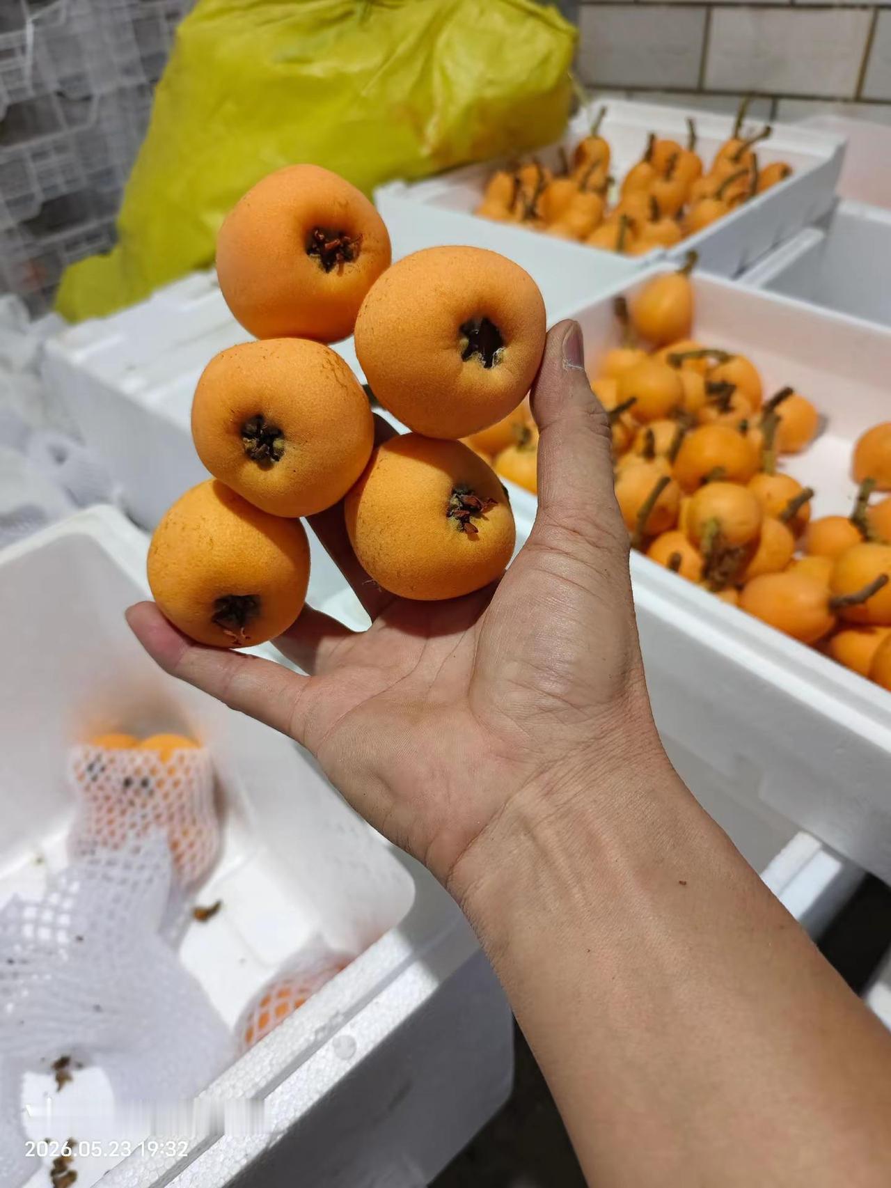 不要怀疑水果的品质 源头好水果 四川大五星
