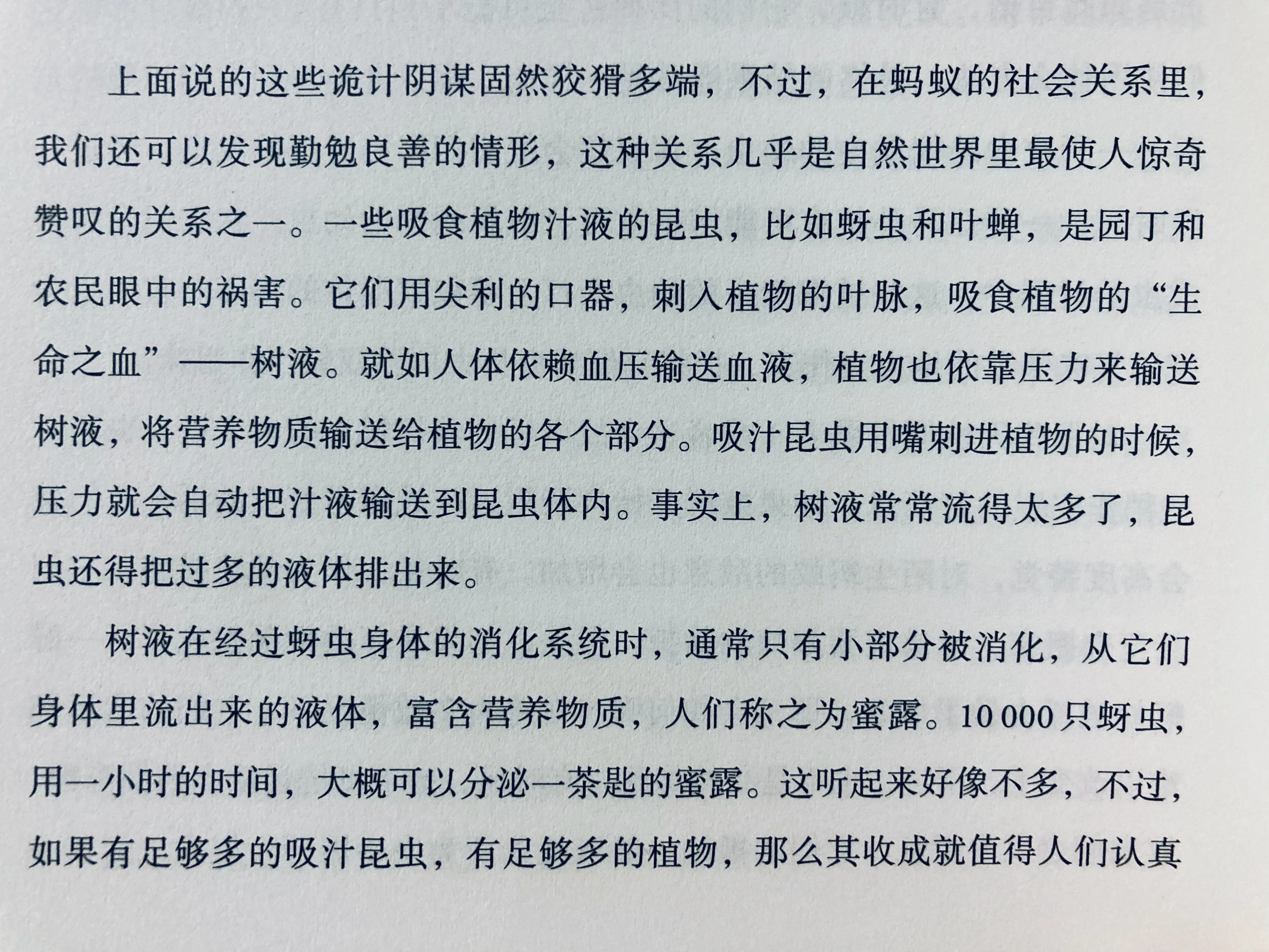 蚂蚁像人类养奶牛一般饲养蚜虫，有一点浅浅的印象，可能是中学时在科普书上读到过，但