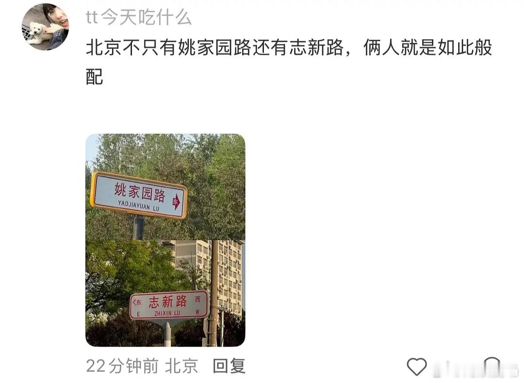 恩新｜北京不止有姚家园路还有志新路，正缘如此强大怦然心动20岁 |   怦然心动