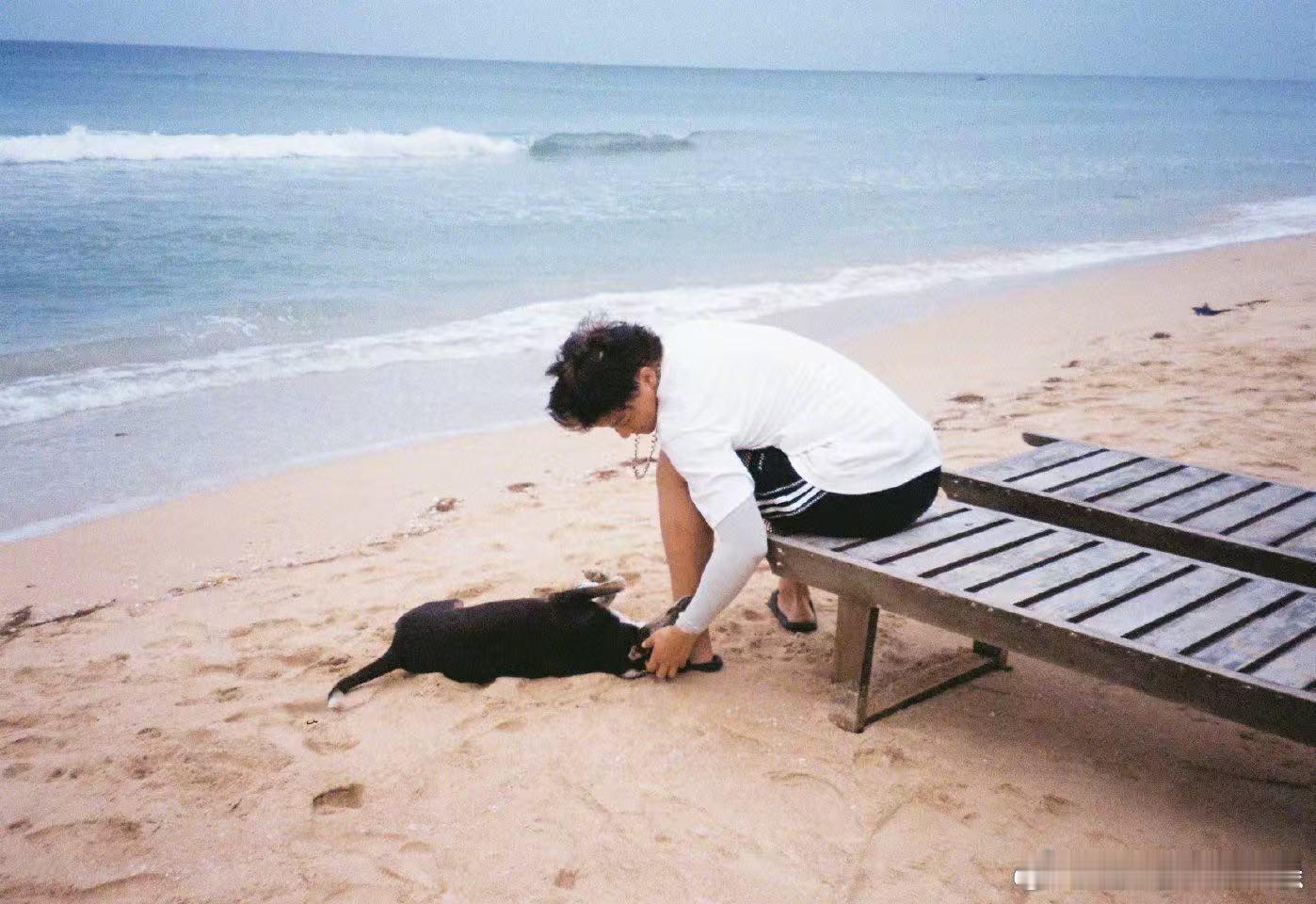 这个联动太让人心动！黄子韬和陈梦的支持，超越了体育和娱乐的界限！黄子韬为女乒队提