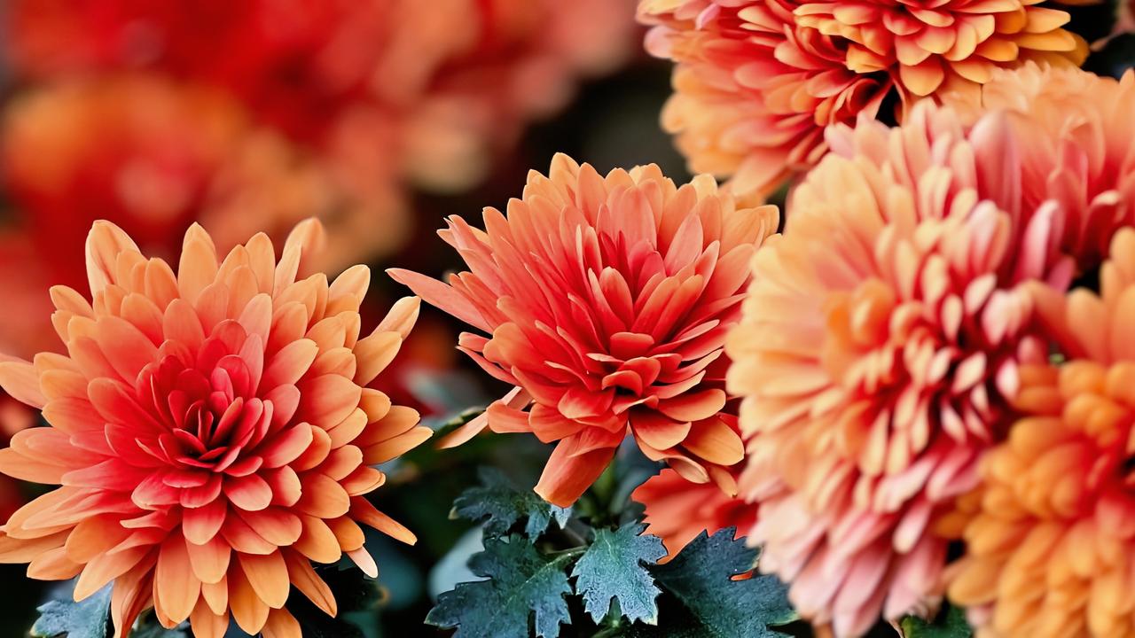 缘分这东西，来时不须你同意，去时不征求你意见。遇到不长久的缘，不思不念。思，只会