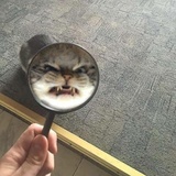 小结热说汽车
