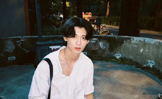 内娱又上新一款会唱情歌的卷毛小狗 幻视道明寺上台唱情歌了谁能拒绝卷毛帅哥唱情歌？