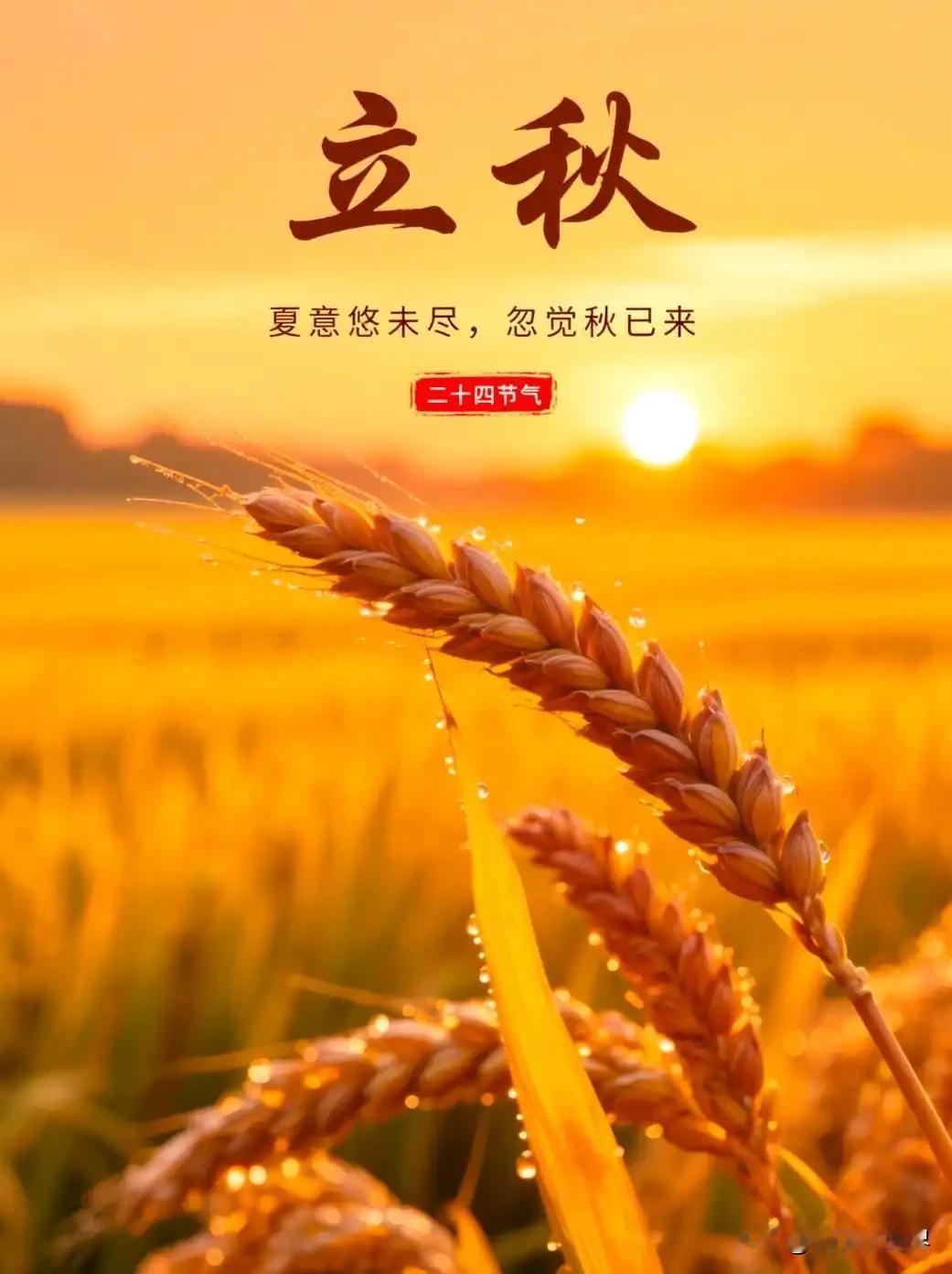 立秋后气温逐渐转凉，暑热还在，仍需做好防暑降温和饮食调节。
       8月7