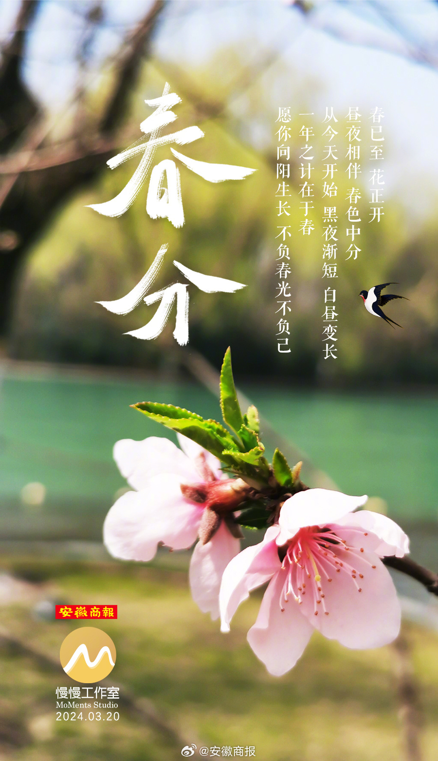 今日，#春分# 一年之计在于春！今日春分，北半球春分之后昼长夜短一起#迎接春天#