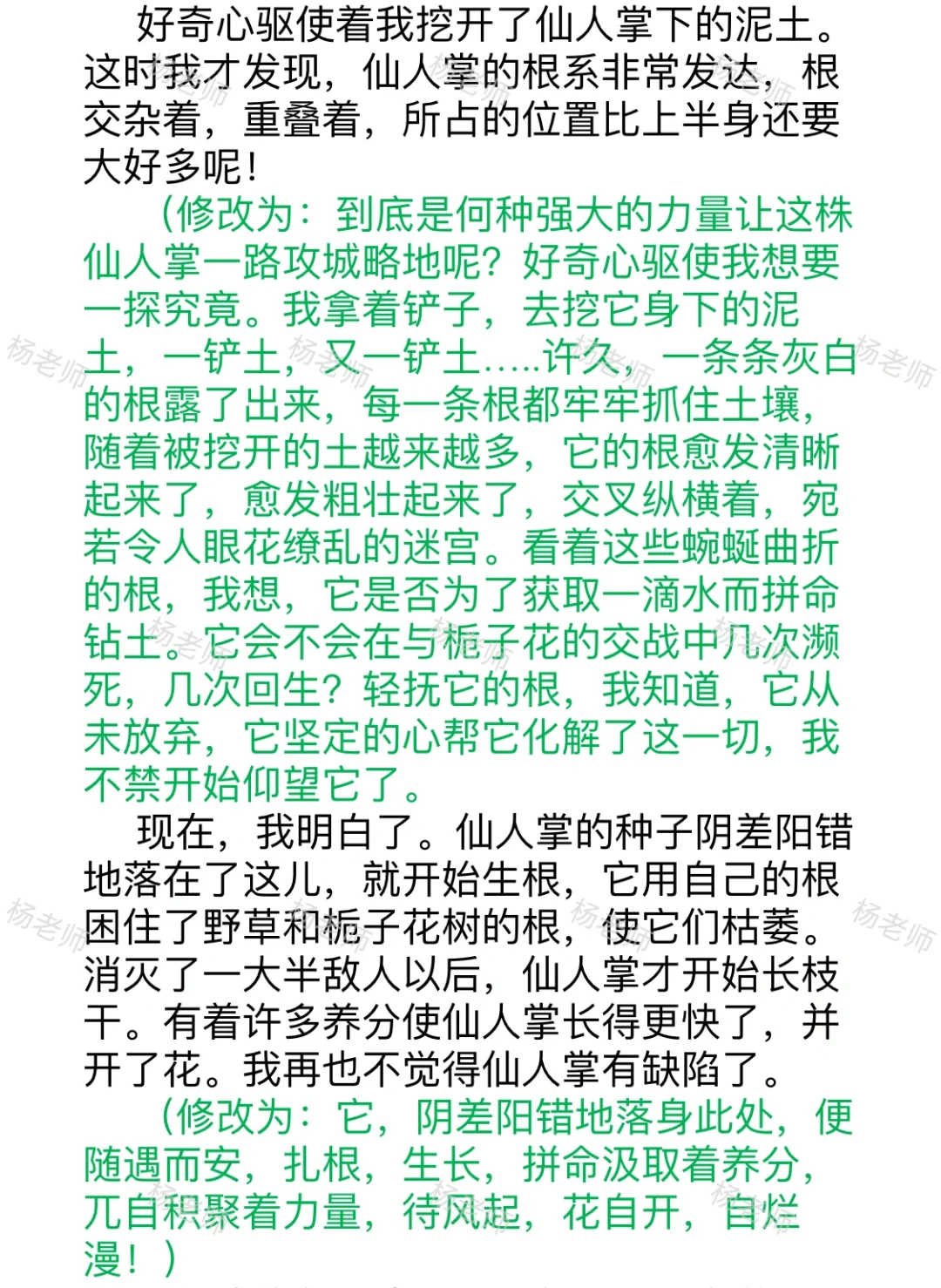 精修作文的样子（六）