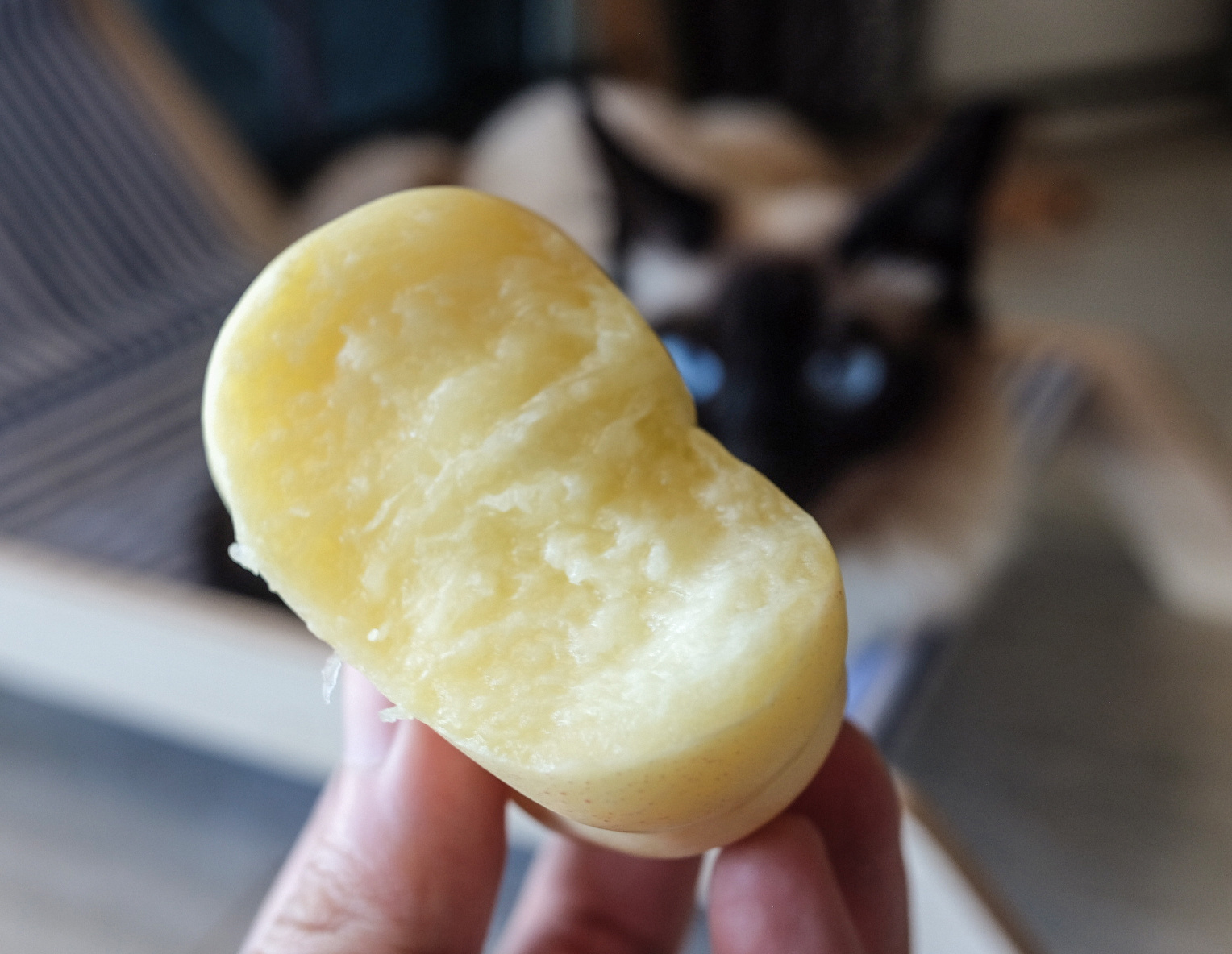 去年卖过的奶桃又上架啦！转发抽三人，每人一箱同款奶桃，明晚开奖！ 