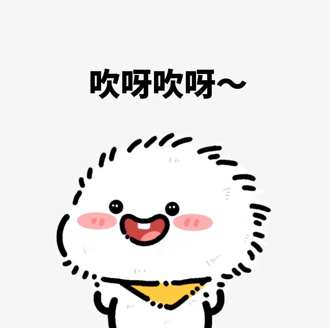叶总，徕芬一直在突破科技边界，随着用户对安静舒适体验的需求不断提升，徕芬下一代吹