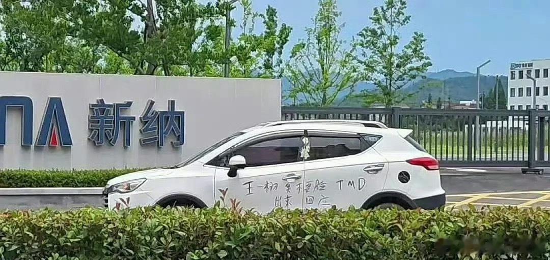 鞠婧祎粉丝在车上写字让王一栩回应 …… 