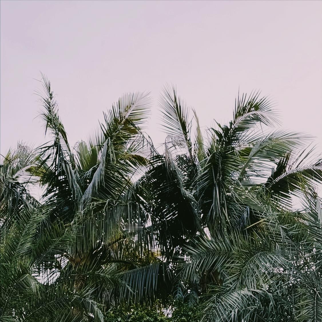 欣慰   香港抗灾144名失踪人员已确认安全   祖国内地和香港各界捐赠善款超8