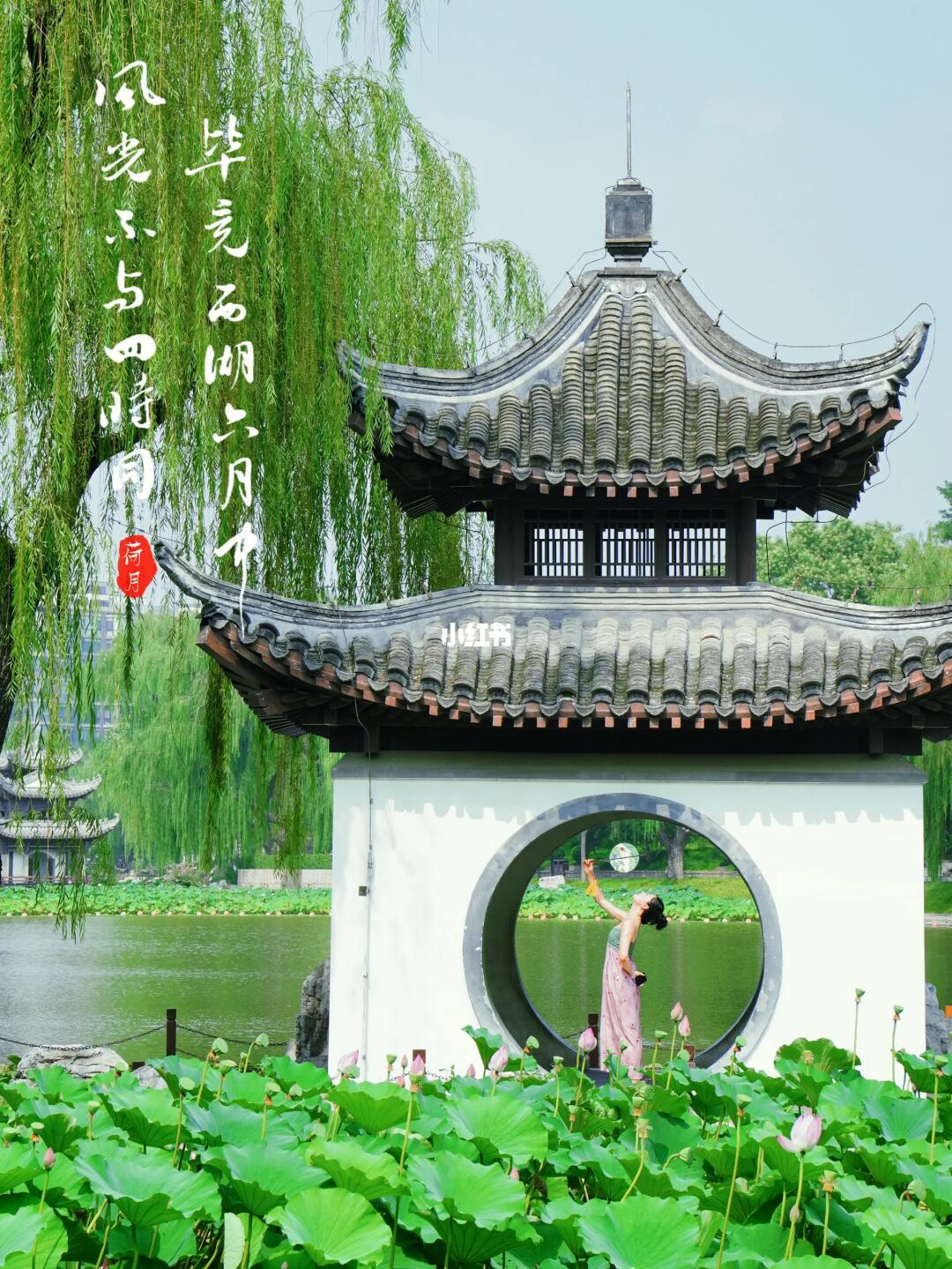 北京盛夏🍃2r就能get荷花届天花板！附机位🪷