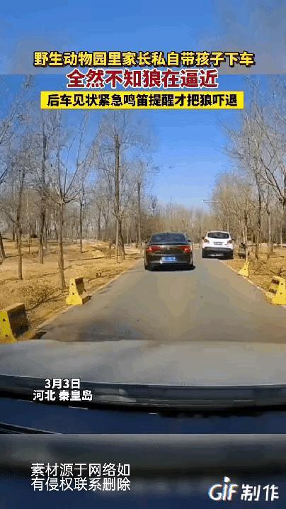 难以置信，这个女人太无知，河北秦皇岛野生动物园，一名女子私自在园区下车，给小孩把