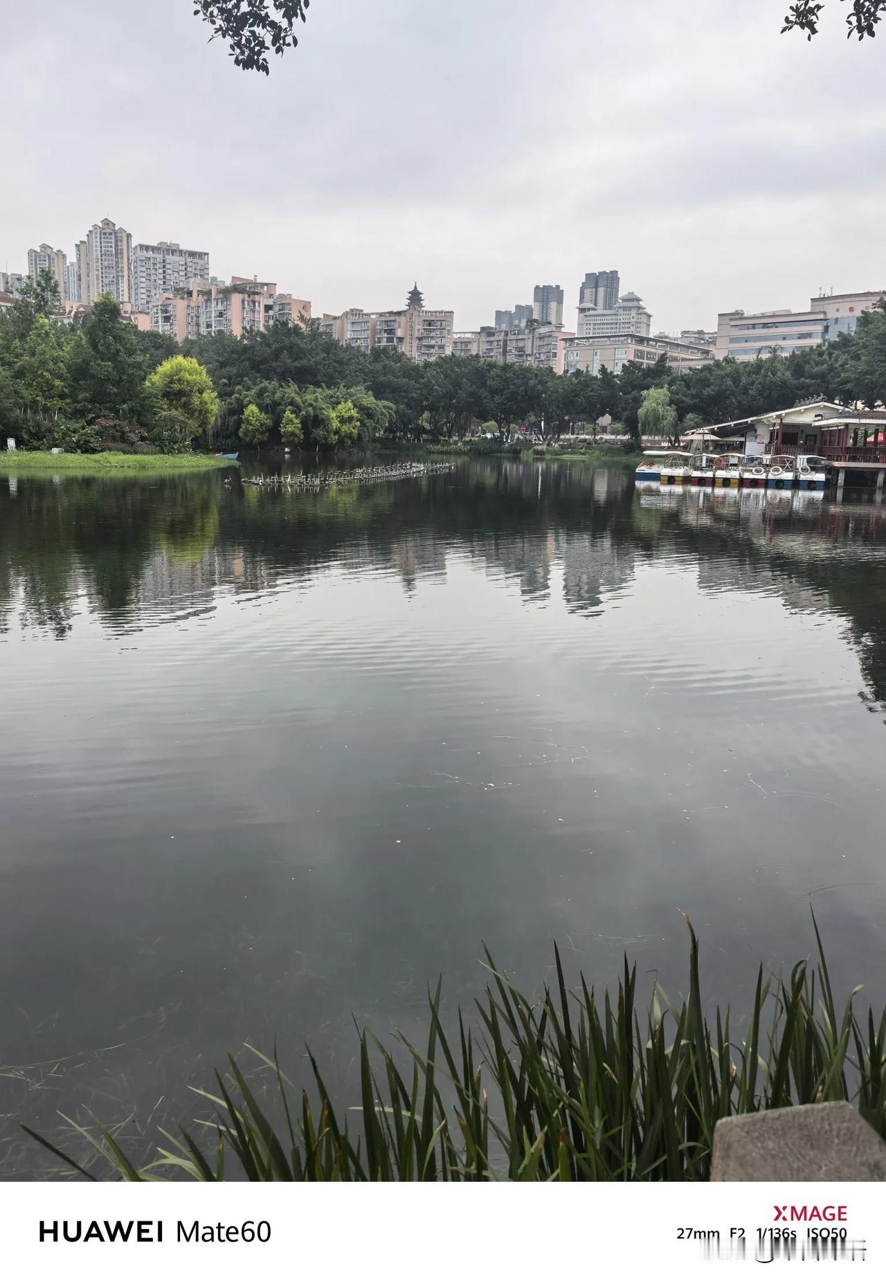 分享城市新鲜事大渡口公园晨练美景城市随手拍