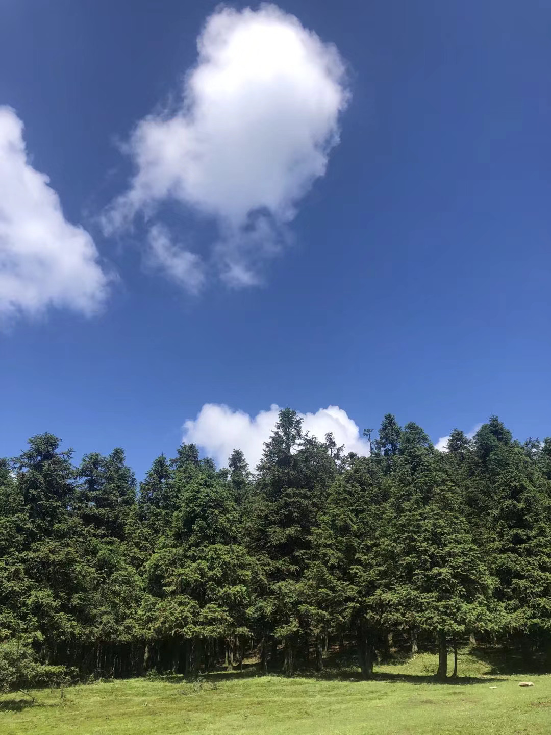 如何和同事相处：第一：同事之间，一定不要交朋友。职场的核心是利益交织，今天能并肩