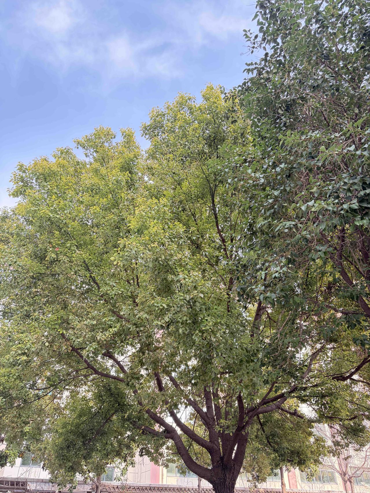 春日不迟，相逢有时，万事皆可期。