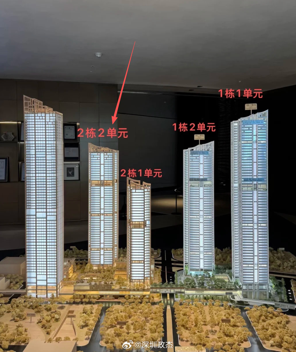 深圳湾沄玺这个月加推，大平层要开始涨价了。低区：216-287-295-305平