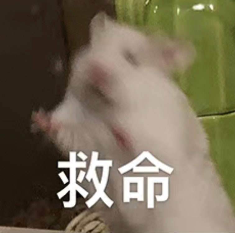 起床脑子里一直有个bgm，但是就想不起名字，然后到处翻了半个多小时，终于找到了，