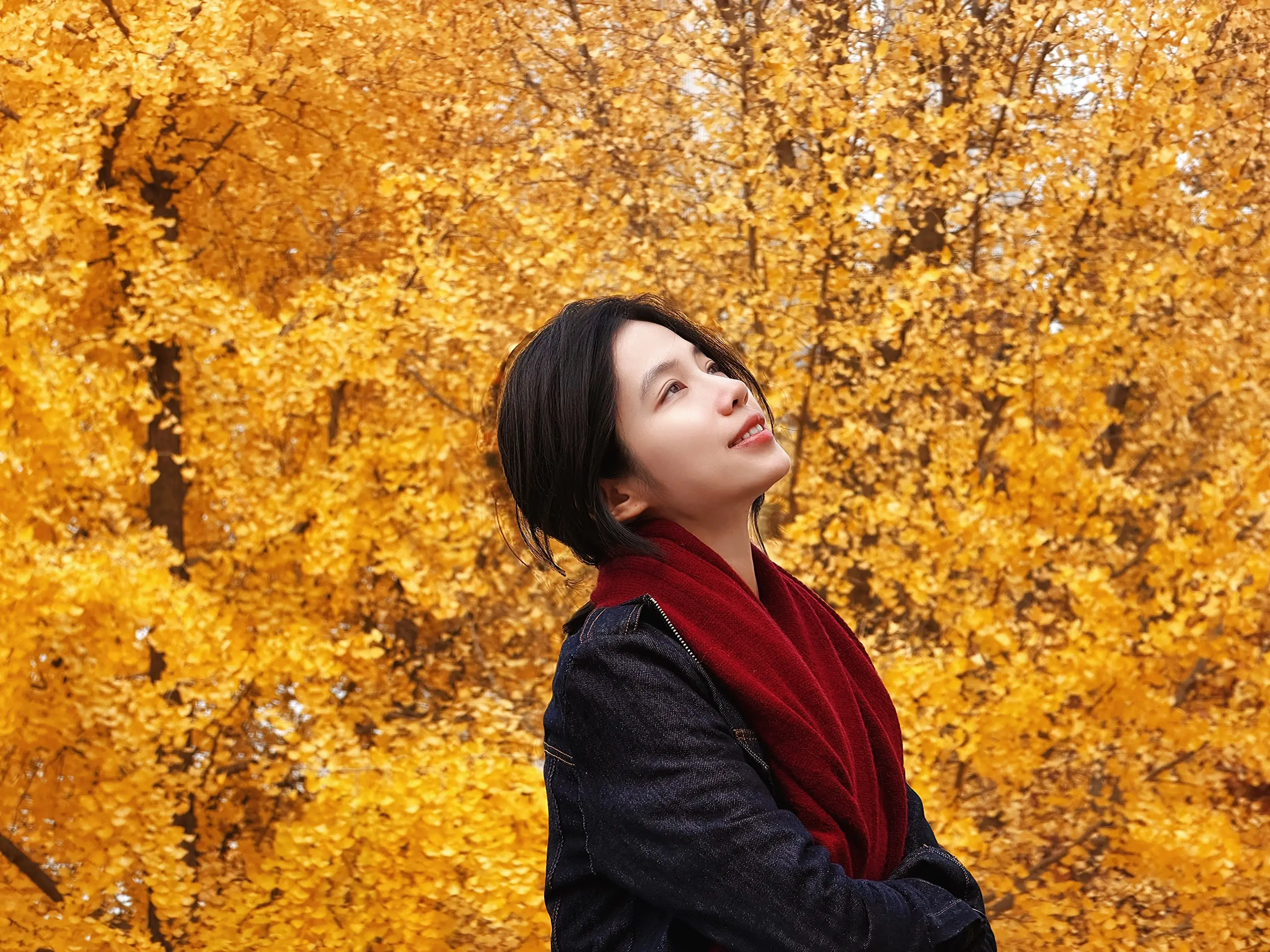 等下个秋天 我们再一起去北京