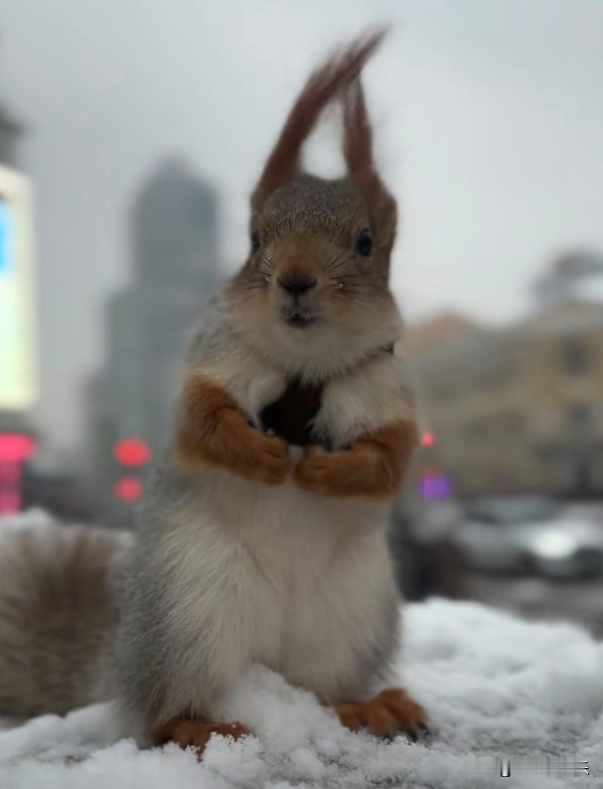 水到尽头是瀑布,人到尽头是什么?
水到尽头是瀑布！人到尽头是重生！