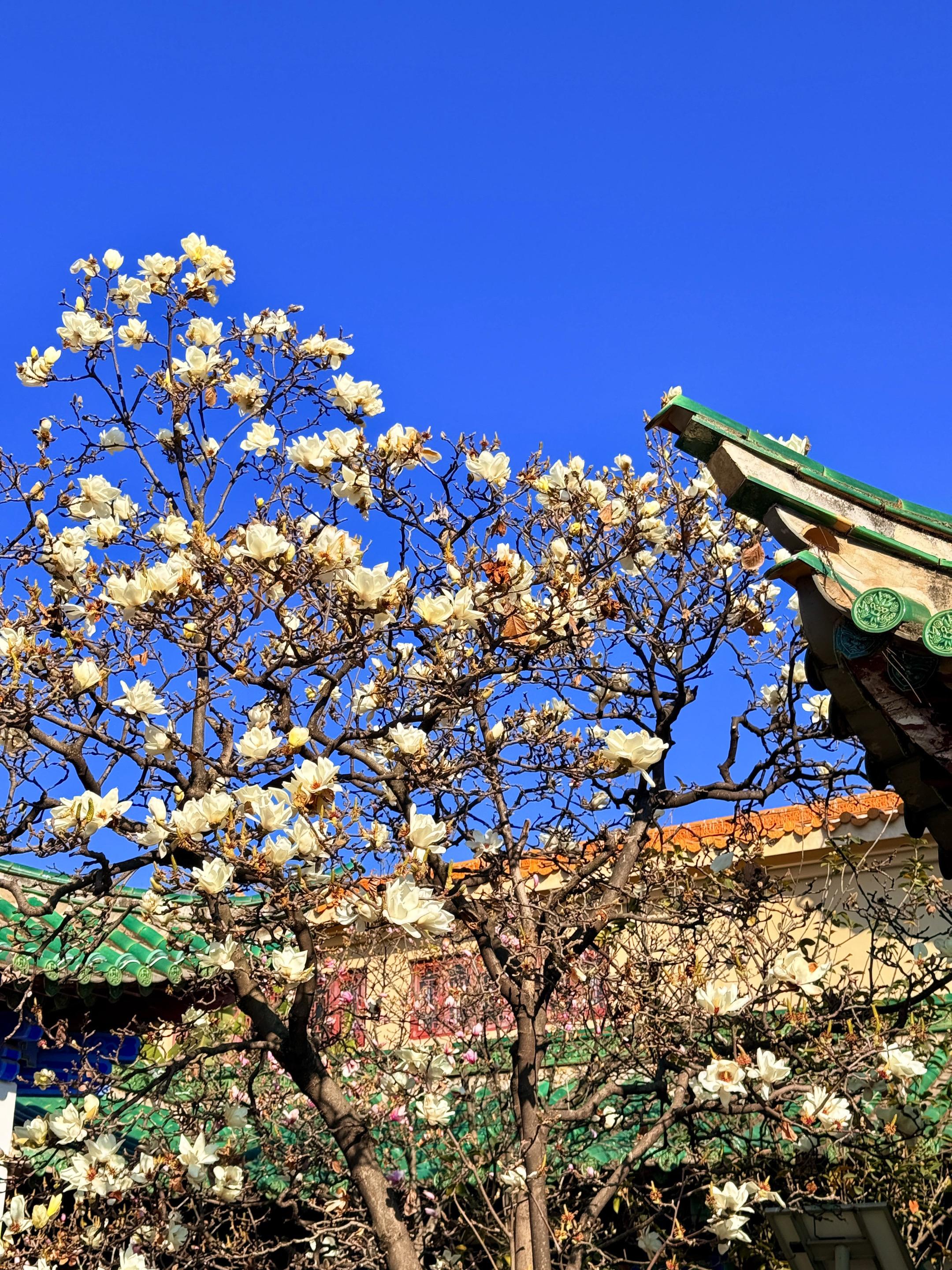 “别辜负眼前季节”