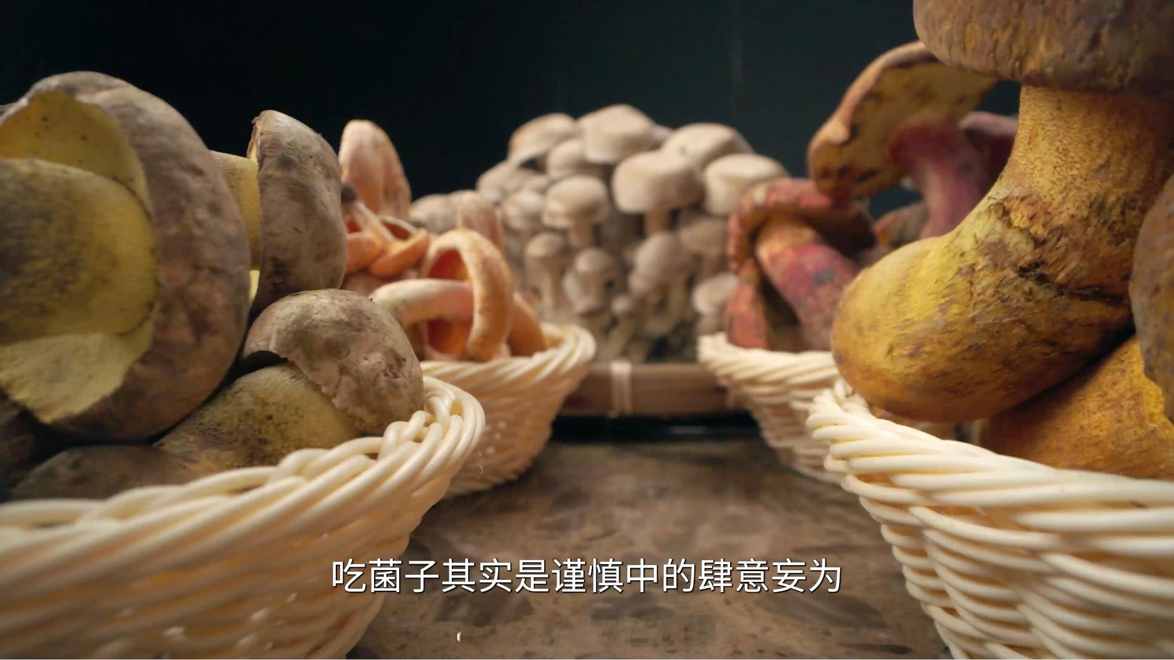 #在云南吃菌子要知道去医院的路##宵夜江湖# 菌子狂欢夜，舌尖上的探险记！不过，