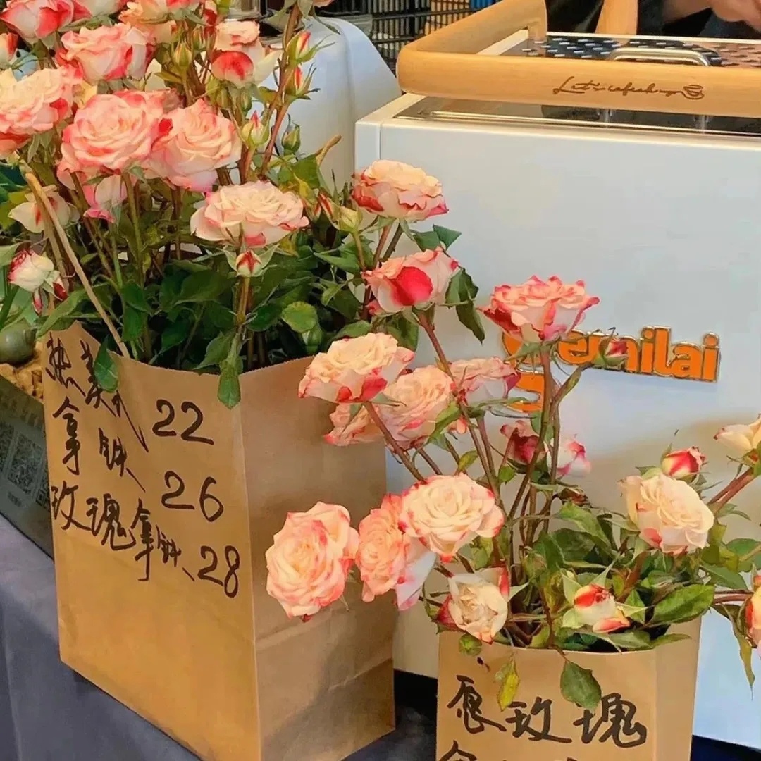 也曾短暂的迷恋过爱，到头来还是最想发财。 