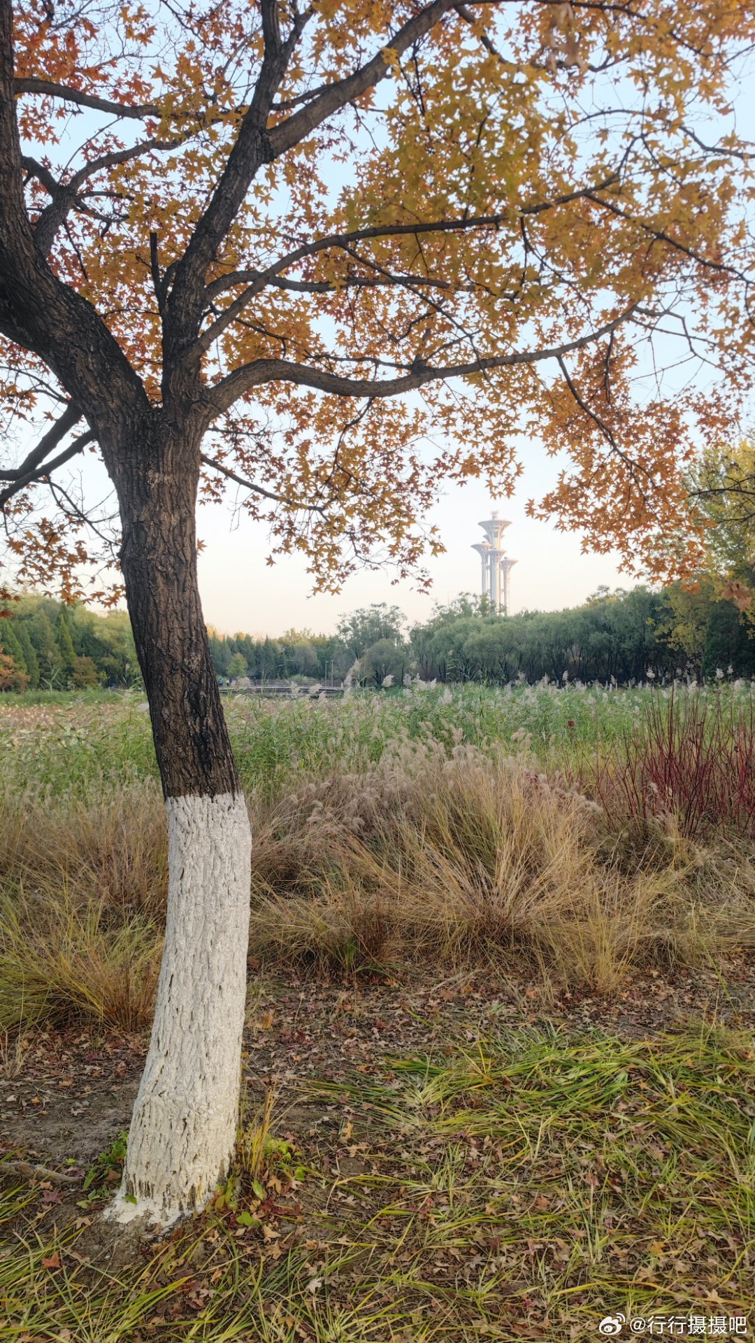 奥森公园的秋  摄影​​​