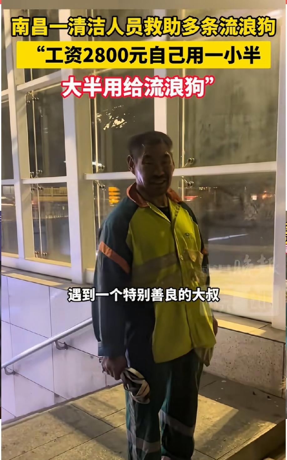 视频都传到美国了！南昌一位清洁工大爷救助十几条流浪狗，2800的工资大多数都花到