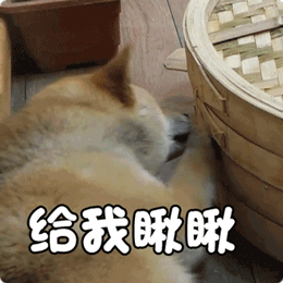百年修得同船渡，千年修得看肚肚，我没有高清图，你们谁有送给我两张