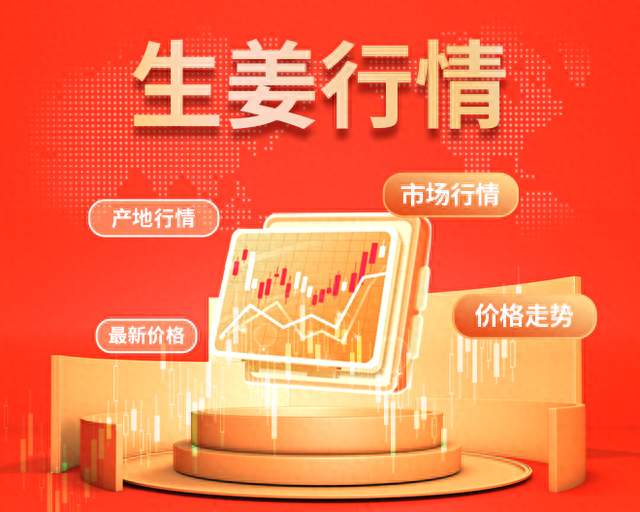 2026-10-10全国生姜价格行情