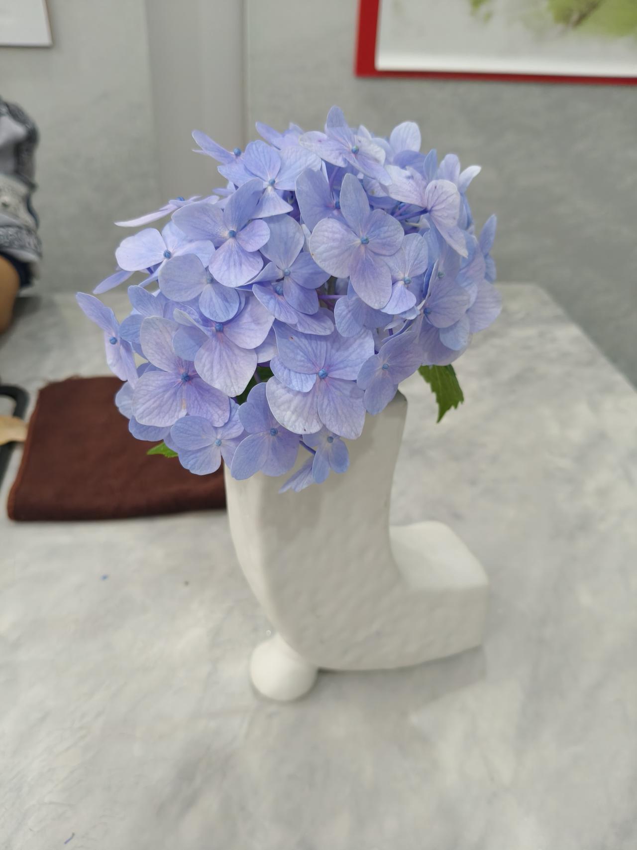 条友这一周 清新淡雅的蓝紫色绣球花，搭配简约白色花瓶，尽显自然之美。