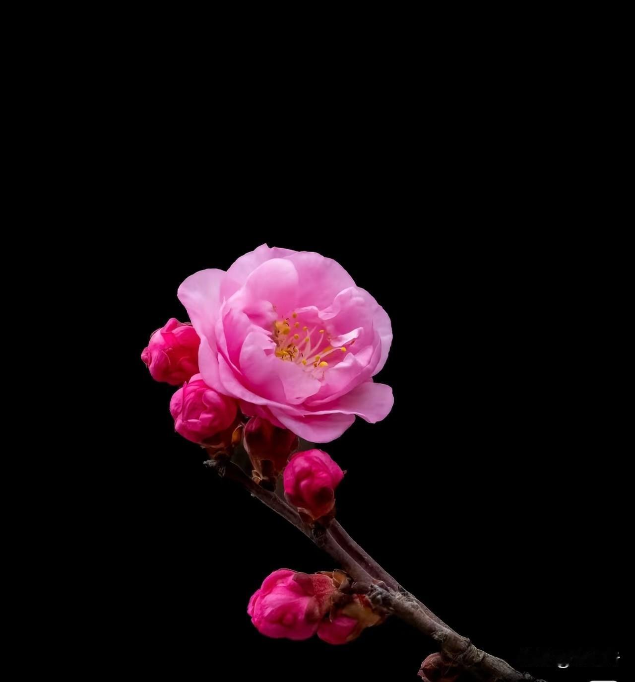 性格真能决定人生吗
其实没那么绝对
性格只会影响你的选择和态度
决定不了你的终点