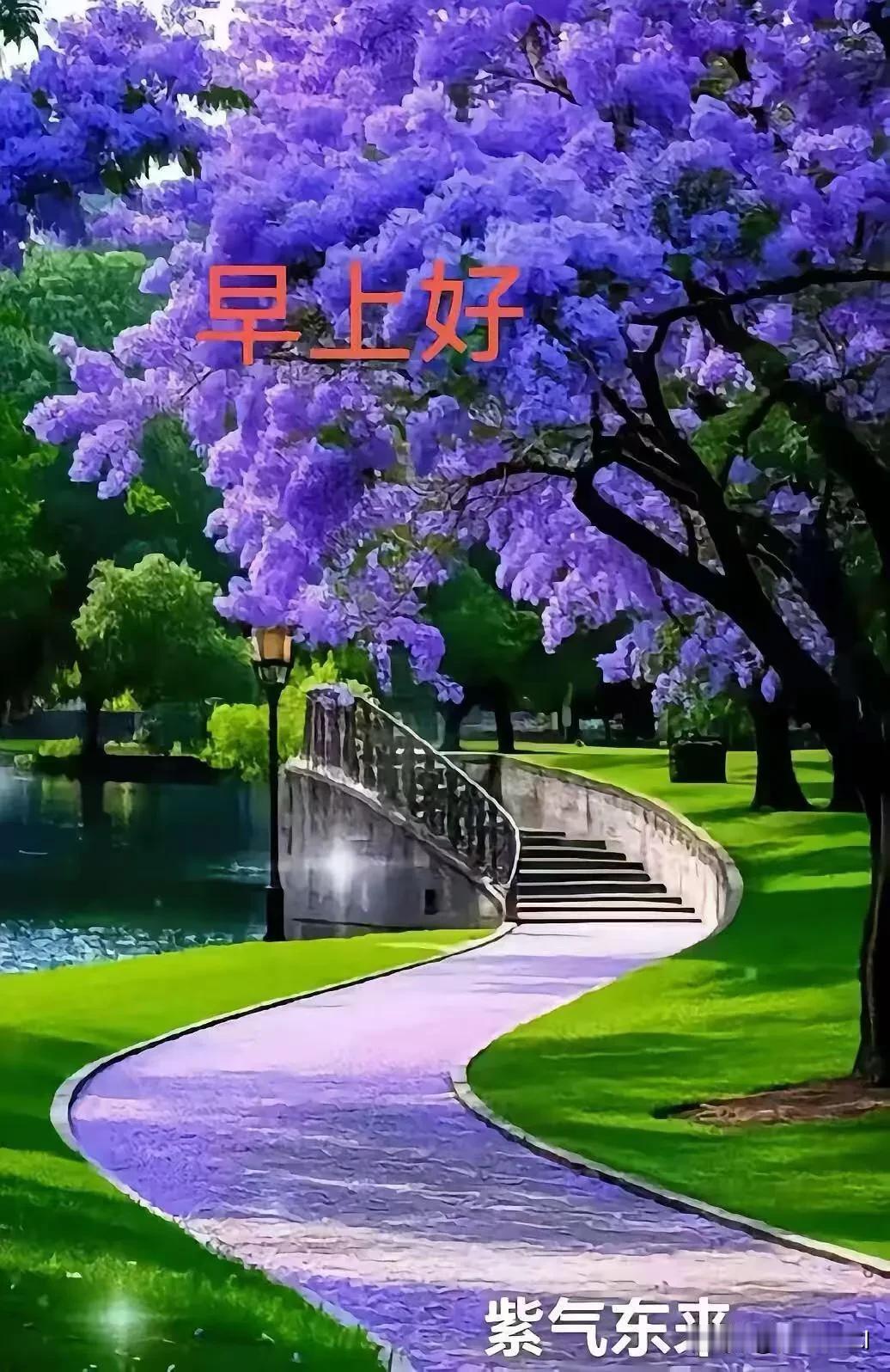 晨光为你开路，坚持自有收获，愿你脚踏实地，步步生光。