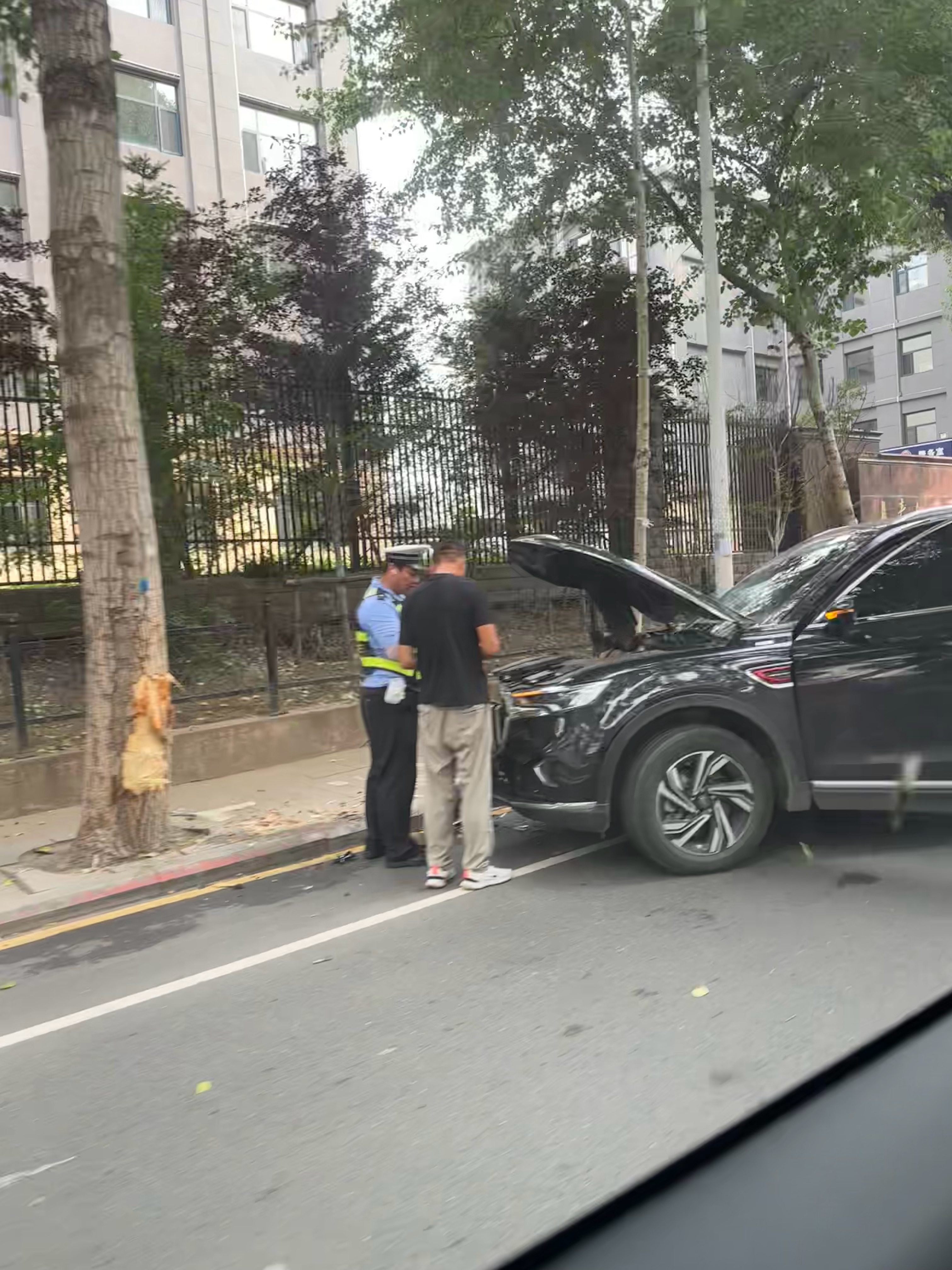 在路上看到个车撞树上了