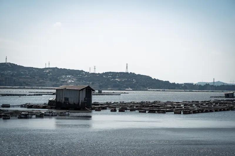 福建喊话回归，台湾回复“收到”，这短短四字真的太戳人了！2月25日，福建海警在金