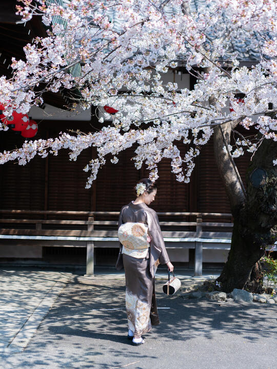 心有樱花梦 京都和服