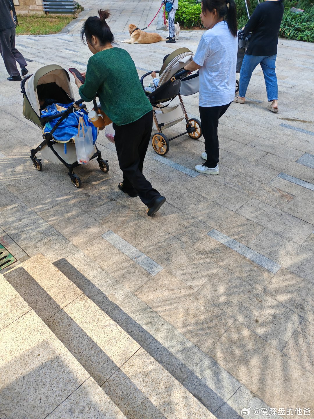 我们小区有30%潮汕人，孩子一直挺多的。 ​​​