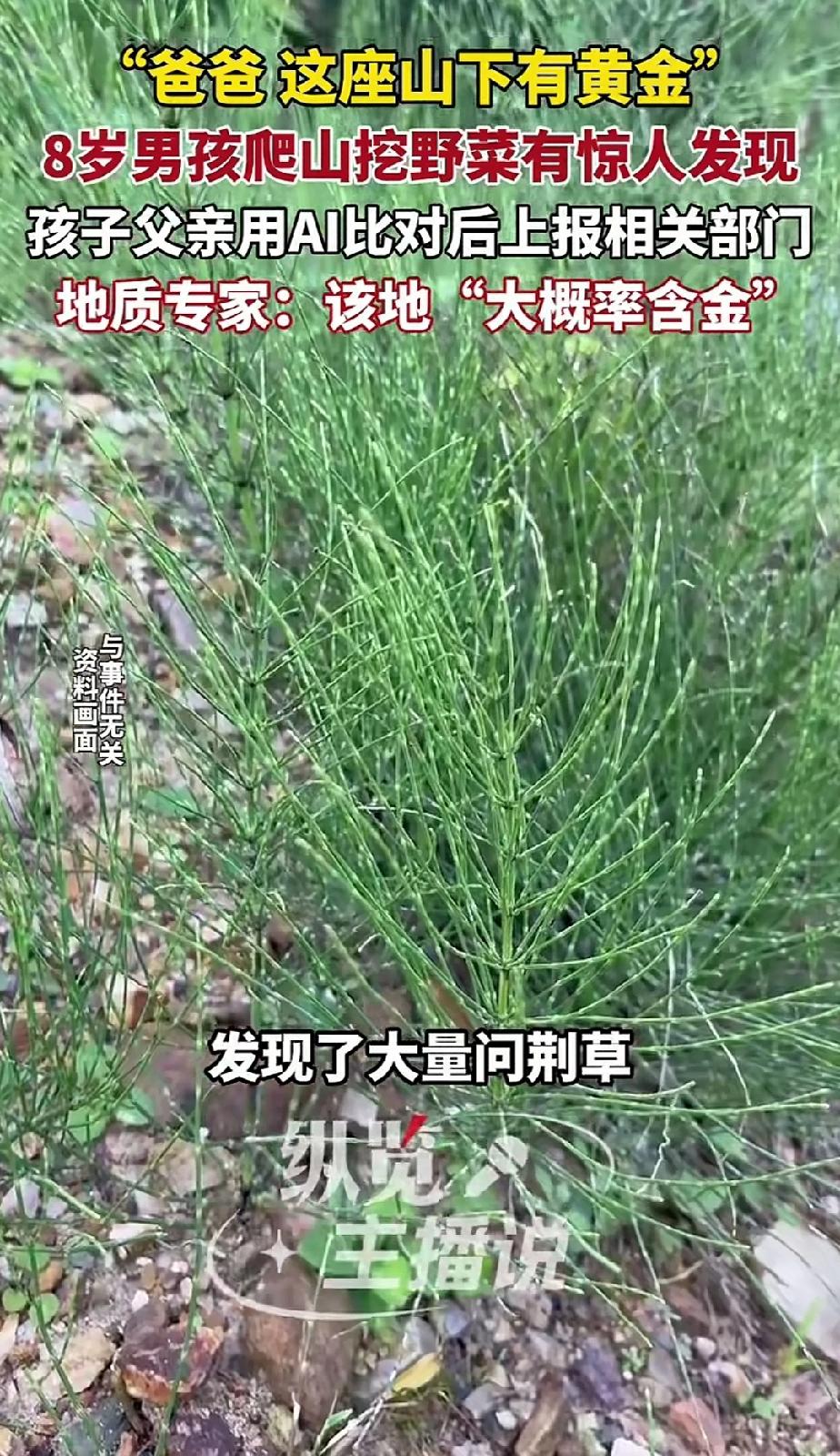 这下面可能有黄金。

当8岁男孩告诉正在挖野菜的爸爸时，男子很是震惊！

原来，