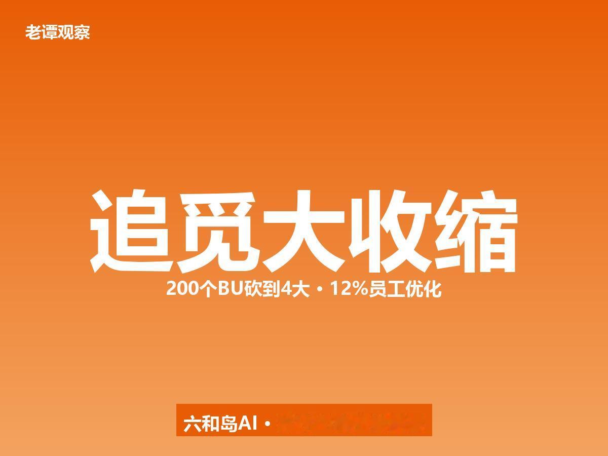 追觅战略大收缩：从200个BU砍到4大赛道，敢砍比敢冲更难

老谭聊点实在的。