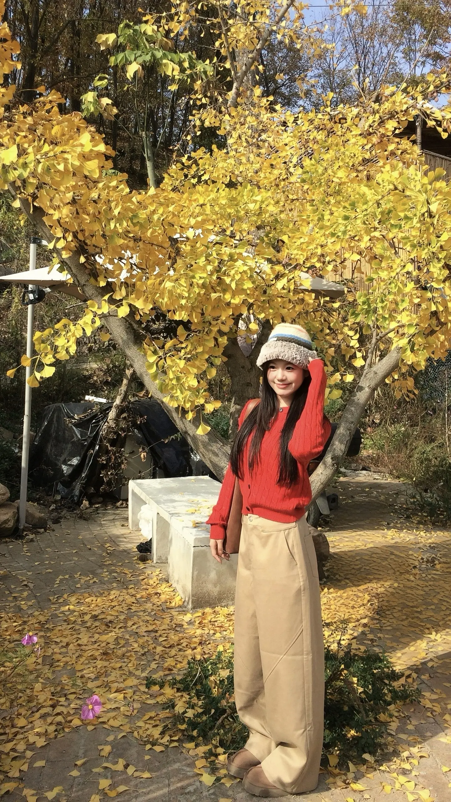 亲爱的 这世界不停的在开花