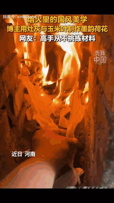 上新华社了！河南一博主用玉米皮烧水做饭，看到灶坑被烧的附有一层黑灰，突然脑洞大开