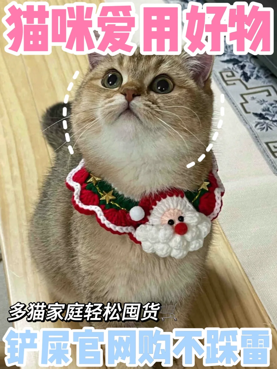 养猫必备好物！超实用高回购养猫物品！